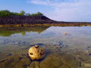 Moning reflections at Hapaiali'i and Ke'eku Heiaus, Kona Coast: Photo by Donnie MacGowan