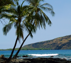 Captain Cook Monument and Kealakekua Bay from Manini Beach at Napo'opo'o, Kona Hawaii: Photo by Donald MacGowan