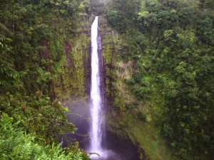 Akaka Falls, Hamakua Hawaii: Photo by Donnie MacGowan