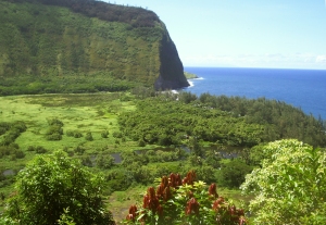 Waipi'o Valley, Hamakua Hawaii: Photo by Donald MacGowan