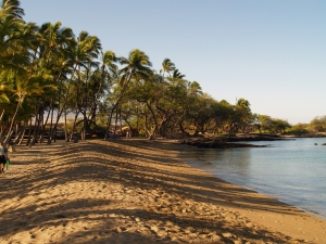 Anaeho'omalu Bay From The North: Photo by Donnie MacGowan