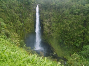 Akaka Falls: Photo by Donnie MacGowan