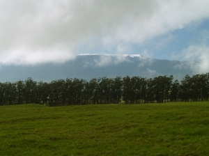 Snow on Mauna Kea from Hwy 19: Photo by Donnie MacGowan