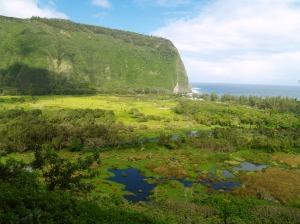 Waipi'o Valley, Hamakua Coast, Big Island of Hawaii: Photo by Donald MacGowan