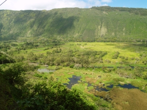 View Down into Waipio Valley Floor: Photo by Donnie MacGowan