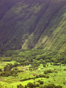 Deep and Mysterious Waipi'o Valley: Photo by Donald MacGowan