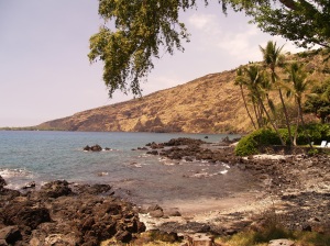 Kealakekua Bay and Captain Cook Monument from Napo'opo'o: Photo by Donnie MacGowan