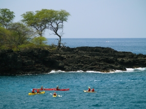 Kayakers Explore Caves and Arches Offshore from Kuamo'o Battlefield: Photo by Donnie MacGowan