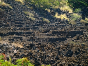Burial Mounds at Kuamo'o Battlefield: Photo by Donald B. MacGowan