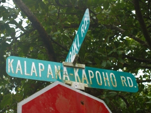 Kapoho Kalapana Road Sign: Photo by Donnie MacGowan