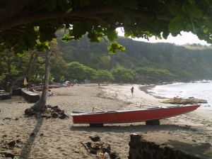 Ho'okena Beach In The Morning: Photo by Donnie MacGowan