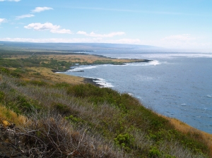 Coastline of Ka'u from near Na'alehu, Big Island: Photo by Donnie MacGowan