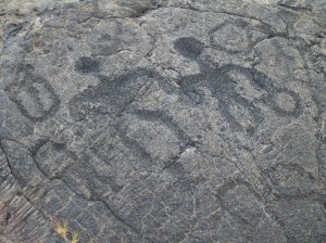 Petroglyphs from Pu'u Loa Field, Hawaii Volcanoes National Park: Photo by Donnie MacGowan