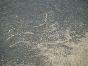 Kite Petroglyphs at South Point; An Academic Debate Exists on the Age and Origin of the Carvings: Photo by Donald MacGowan