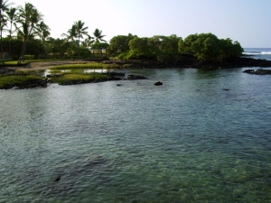The Ruins of Hapaiali'i Heaiu in Spring 2006, Before Reconstruction; Photo by Donnie MacGowan