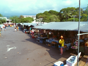 Kailua Famer's Market: Photo by Harvey Bird Watching