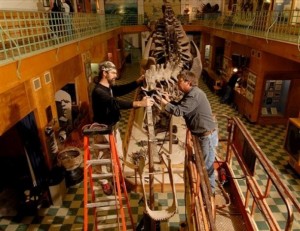 The University of Wyoming Geological Museum: One of UW's most visible and successful outreach and academic programs