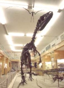 University of Wyoming Geological Museum: A Faltering Academic Institution's Rare Success Story Threatened by Ignorance and Far