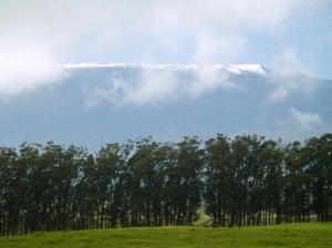 Mauna Kea's Summit  from Highway 19 Near Waimea Town: Photo by Donald MacGowan