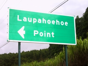 Hawaii Has Very Poor Signage for Towns, Beaches and Attractions; What Signs There Are Are n Hawaiian Words Which May Be Hard For The Visitor To Pronounce And Remember: Photo By Kilgore Trout