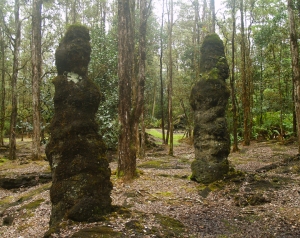 Towers of Lava Tree Molds at Lava Trees State Monument, Big Island, Hawaii: Photo by Donnie MacGowan