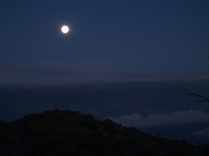 Full Moon Over the Mauna Kea-Mauna Loa Sadlle: Photo by Donald B. MacGowan