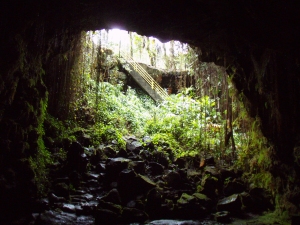 Kaumana Cave: Photo by Donald B. MacGowan