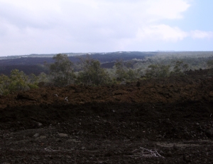 Disaster of 1868 Lava Flows, South Flank of Mauna Loa: Photo by Donald B. MacGowan