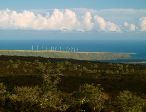 View Across HOVE to the Windmills at South Point, Big Island Hawaii: Photo by Donnie MacGowan