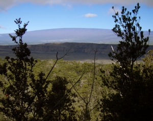 A Morning Glimpse of Mauna Loa Behind Kilauea Iki Crater: Photo by Donald B. MacGowan