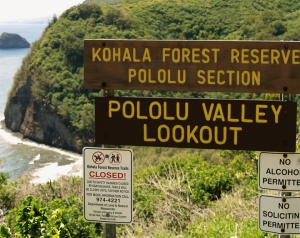 At Pololu Valley, Hamakua Coast, Big Island, Hawaii: Photo by Donald B. MacGowan