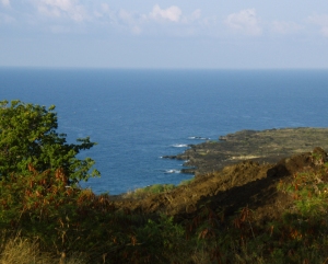 View of the Kona Coast from the Cook Monument Trail:Photo by Donald B. MacGowan