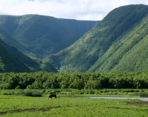 Pololu Valley Itself is Private Land so Stay Close To the Beach: Photo by Donald B. MacGowan