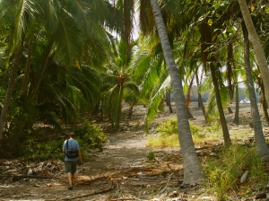 As the trail to Honomalino Beach Winds Toward the Shore, It Passes Several Private Residences and Private Property; Be Sure To Respect These People's Property and Privacy: Photo by Donald B. MacGowan