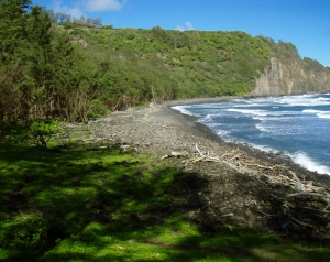 Looking Back West Across Pololu Beach From the Start of the Honokane Nui Valley Trail: Photo by Donnie MacGowan