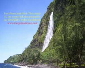 An Enormous Waterfall at Mouth Waipi'o Valley: Photo by Donald B. MacGowan