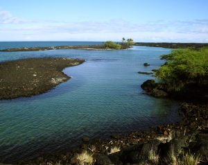 All that remains of a mile-long fishpond that was destroyed by flowing lava are these gorgeous, turquoise brackish ponds: Photo by Donald B. MacGowan