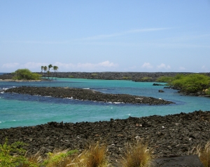The Brackish Lagoons of Kiholo Bay: Photo by Donald B. MacGown