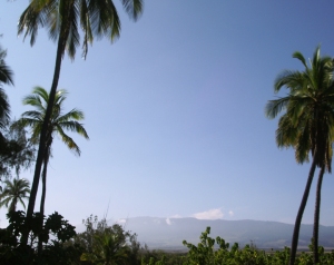 The View of Mauna Kea From Kiholo Bay, Kohala Coast, Hawaii: Photo by Donnie MacGowan