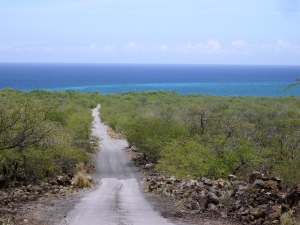 Dirt road into Kiholo Bay, just south of the 82 mile marker on the Hawaii Belt Road: Photo by Donnie MacGowan